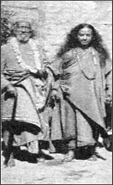 gurus