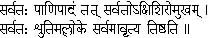 Sannyasa: its ideal and practice